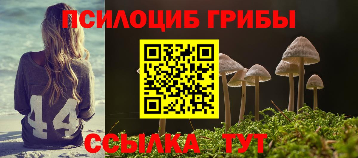 Псилоцибиновые грибы Psilocybe Семёнов